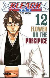 Image of Bleach 12 Flower On The Precipice