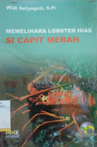 Image of MEMELIHARA LOBSTER HIAS SI CAPIT MERAH