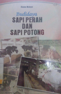 Image of budidaya sapi perah dan sapi potong